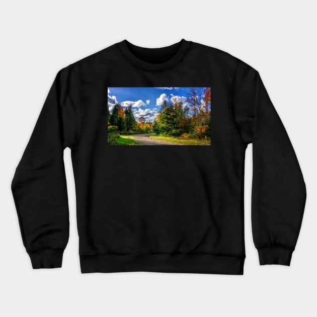 Dirt Road on a Sunny Autumn Day Crewneck Sweatshirt by kenmo